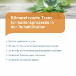 Thumbnail DRV-Broschüre Klimarelevante Trans­formationsprozesse in der Rehabilitation